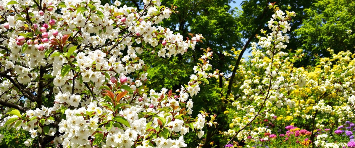welche bäume im garten pflanzen